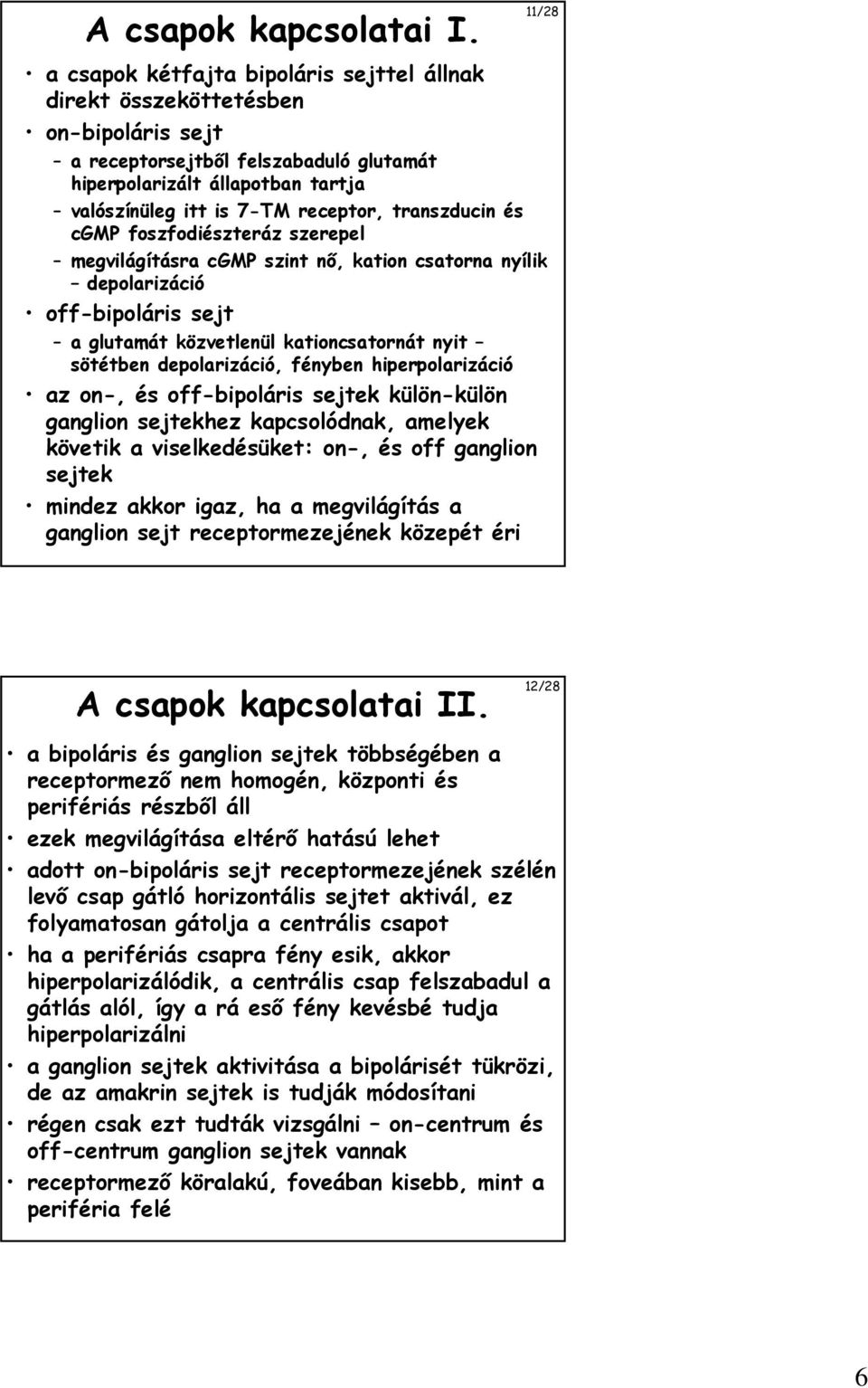 transzducin és cgmp foszfodiészteráz szerepel megvilágításra cgmp szint nı, kation csatorna nyílik depolarizáció off-bipoláris sejt a glutamát közvetlenül kationcsatornát nyit sötétben depolarizáció,