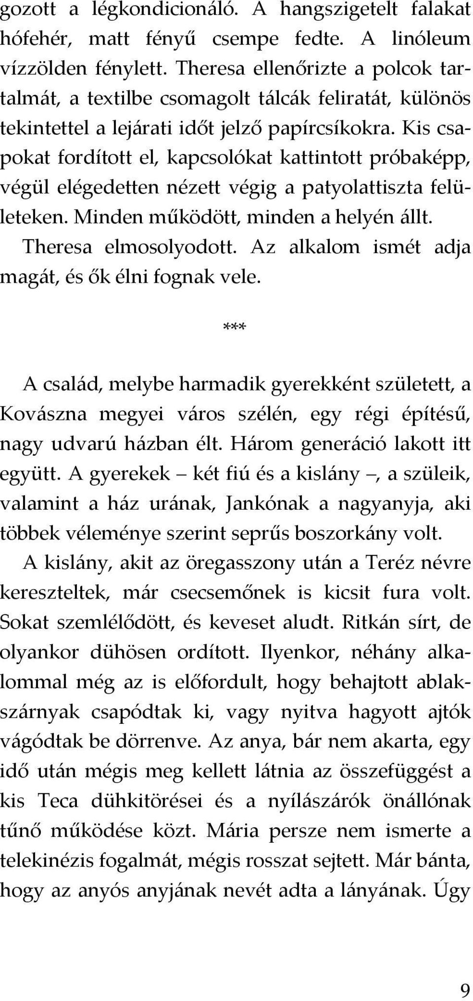 Kis csapokat fordított el, kapcsolókat kattintott próbaképp, végül elégedetten nézett végig a patyolattiszta felületeken. Minden működött, minden a helyén állt. Theresa elmosolyodott.