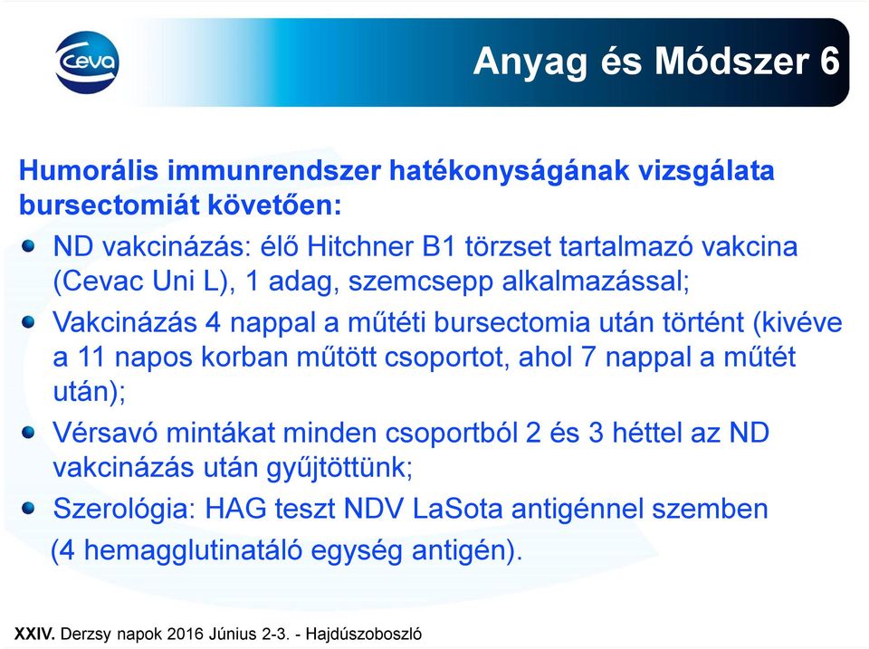 történt (kivéve a 11 napos korban műtött csoportot, ahol 7 nappal a műtét után); Vérsavó mintákat minden csoportból 2 és 3