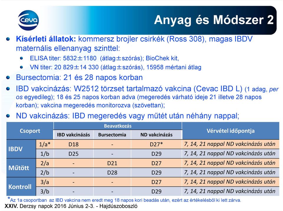 illetve 28 napos korban); vakcina megeredés monitorozva (szövettan); IBDV ND vakcinázás: IBD megeredés vagy műtét után néhány nappal; Műtött Csoport Kontroll Beavatkozás IBD vakcinázás Bursectomia ND