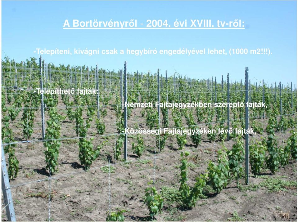 engedélyével lehet, (1000 m2!!!).