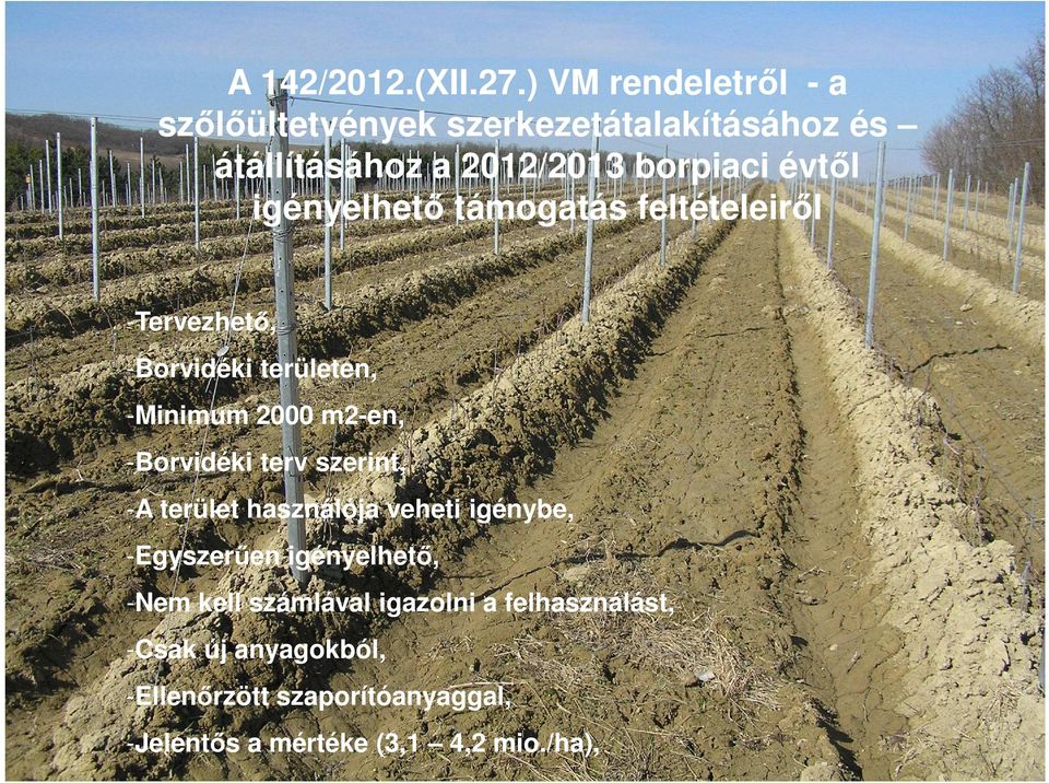 igényelhető támogatás feltételeiről -Tervezhető, -Borvidéki területen, -Minimum 2000 m2-en, -Borvidéki terv