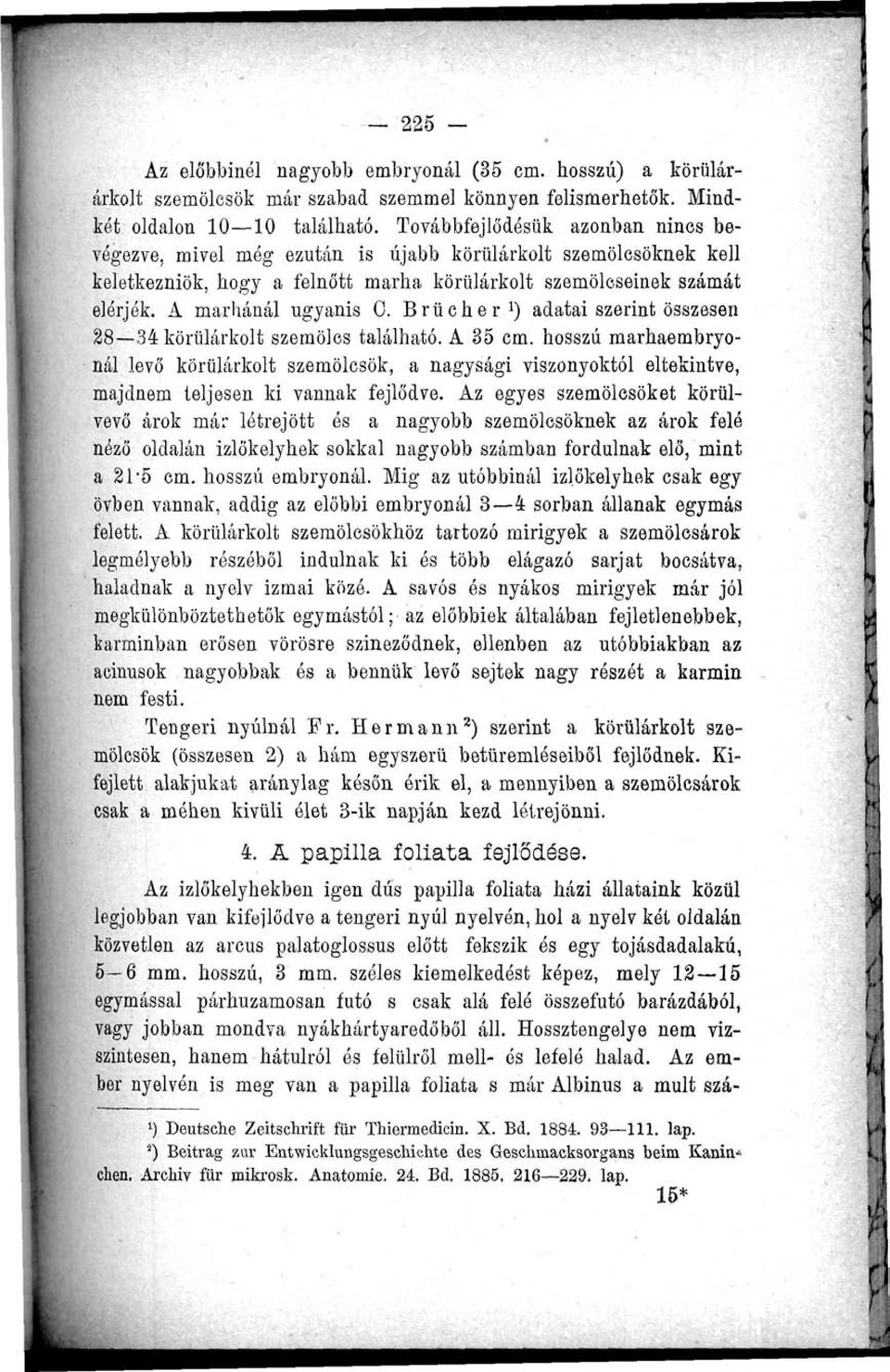 Brücher 1 ) adatai szerint összesen 28 34 körülárkolt szemölcs található. A 35 cm.