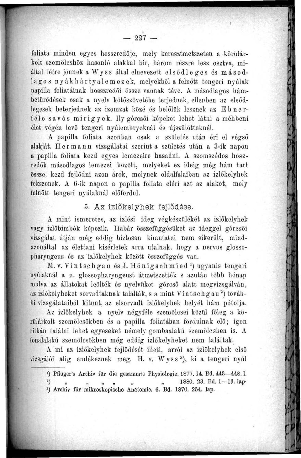 A másodlagos hámbetürődések csak a nyelv kötőszövetébe terjednek, ellenben az elsődlegesek beterjednek az izomzat közé ós belőlük lesznek az Ebnerféle savós mirigyek.