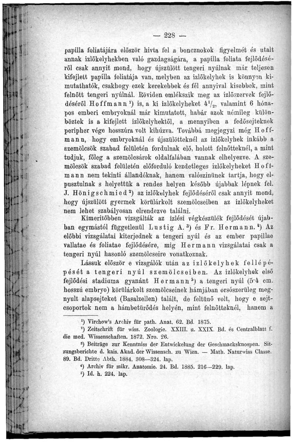 Eöviden emlékszik meg az izlőszervek fejlődéséről Hoffmann 1 ) is, a ki izlőkelyheket 4 x / 2, valamint 6 hónapos emberi embryoknál már kimutatott, habár azok némileg különböztek is a kifejlett