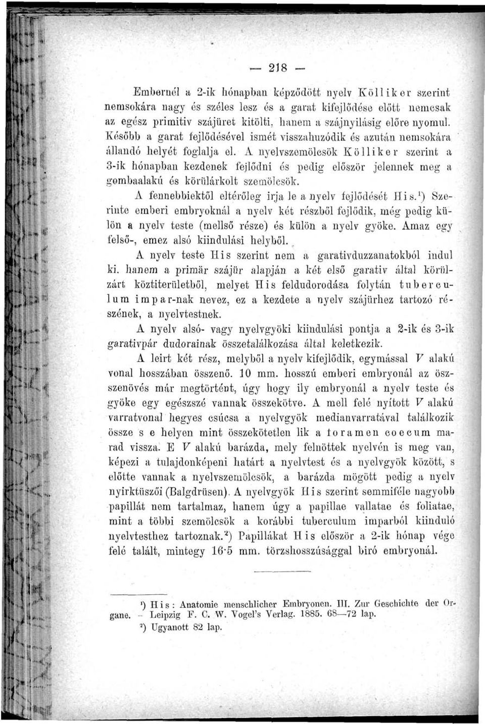 A nyelvszemölcsök Kölliker szerint a 3-ik hónapban kezdenek fejlődni ós pedig először jelennek meg a gombaalakú és körülárkolt szemölcsök. A fennebbiektől eltérőleg írja le a nyelv fejlődését His.