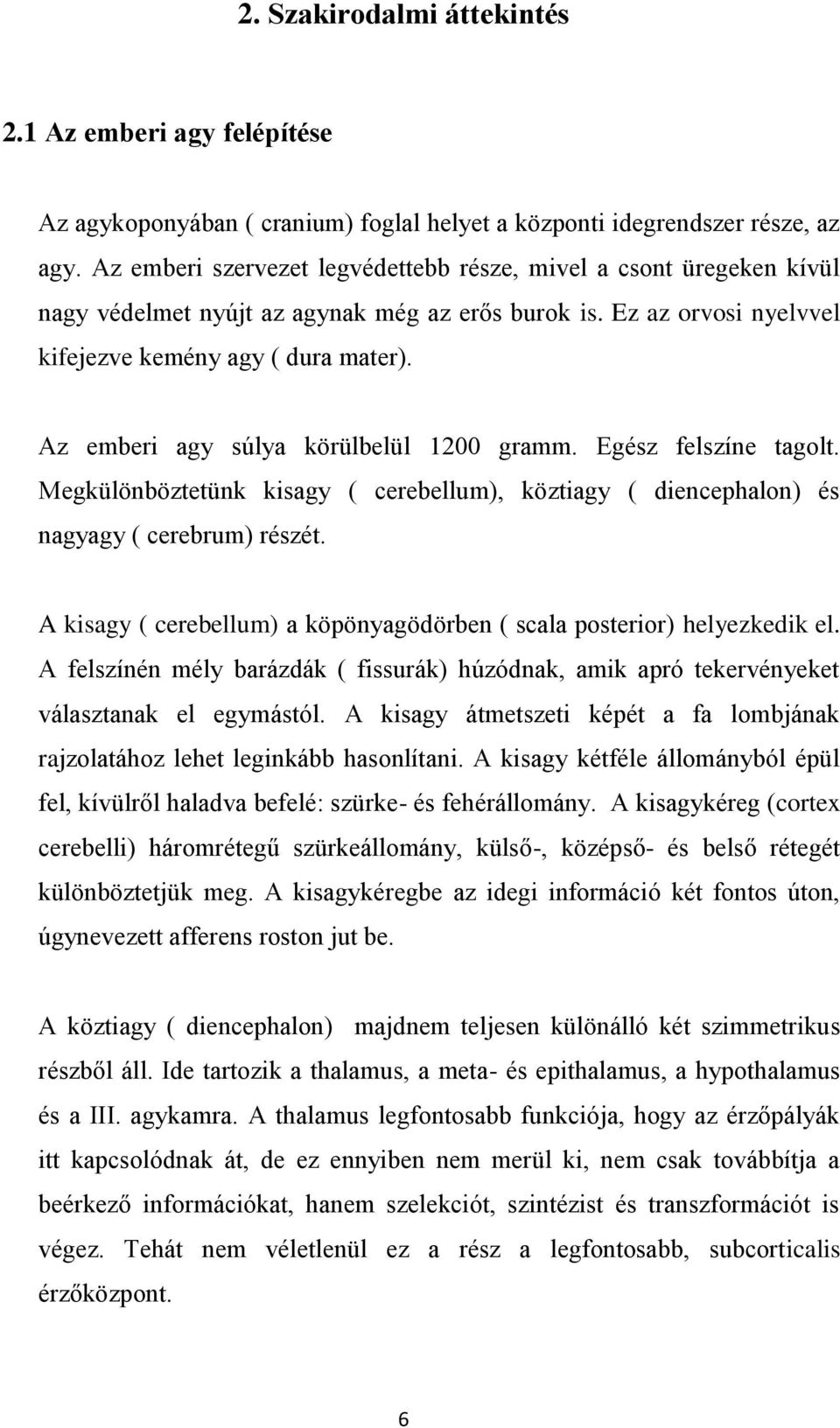 Az emberi agy súlya körülbelül 1200 gramm. Egész felszíne tagolt. Megkülönböztetünk kisagy ( cerebellum), köztiagy ( diencephalon) és nagyagy ( cerebrum) részét.