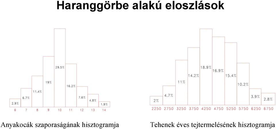 szaoraságáak hisztogramja