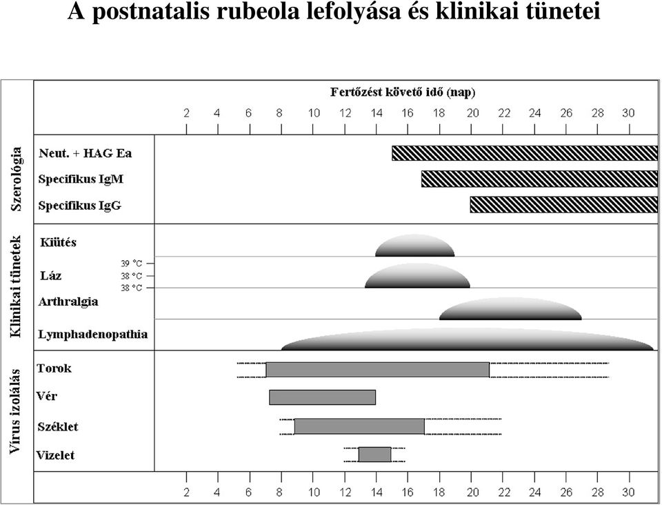 rubeola