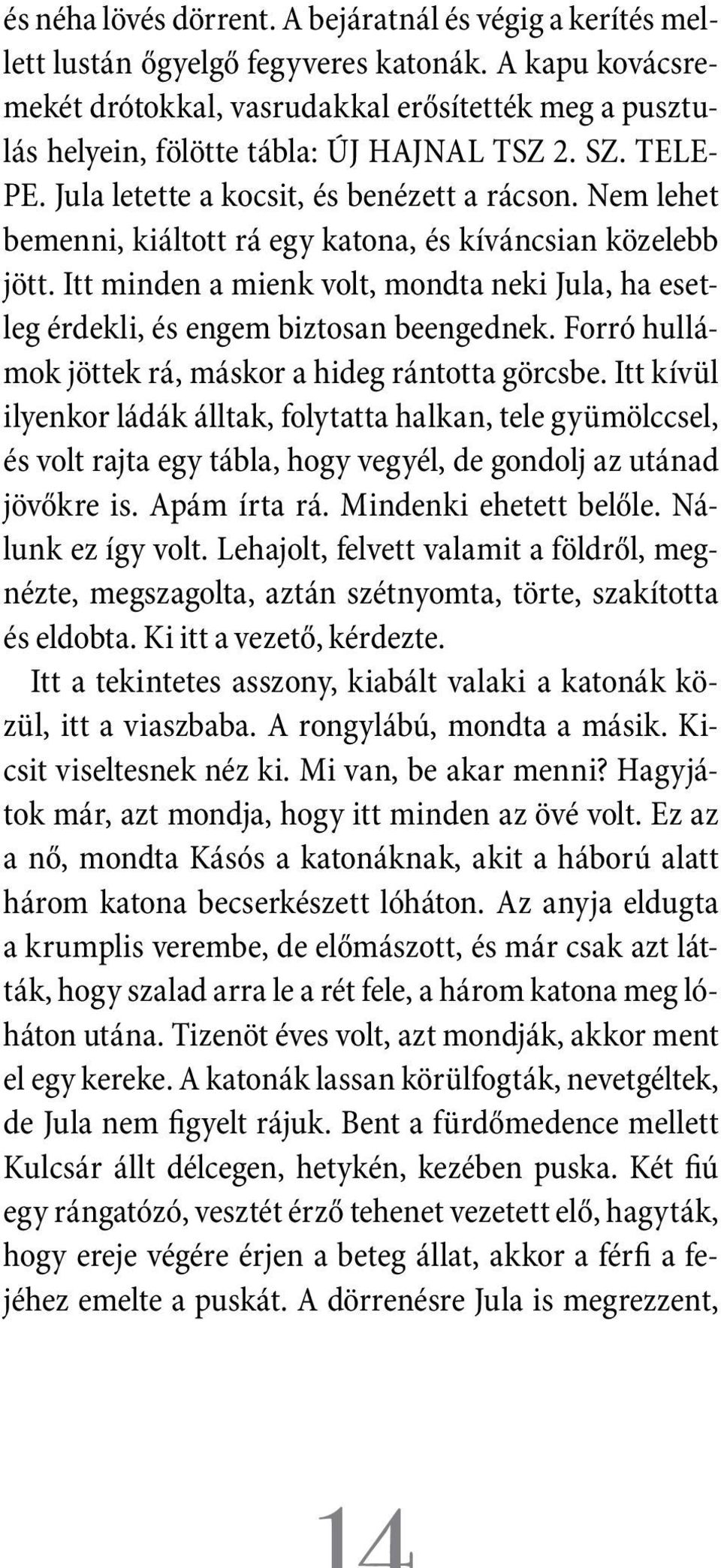 Nem lehet bemenni, kiáltott rá egy katona, és kíváncsian közelebb jött. Itt minden a mienk volt, mondta neki Jula, ha esetleg érdekli, és engem biztosan beengednek.