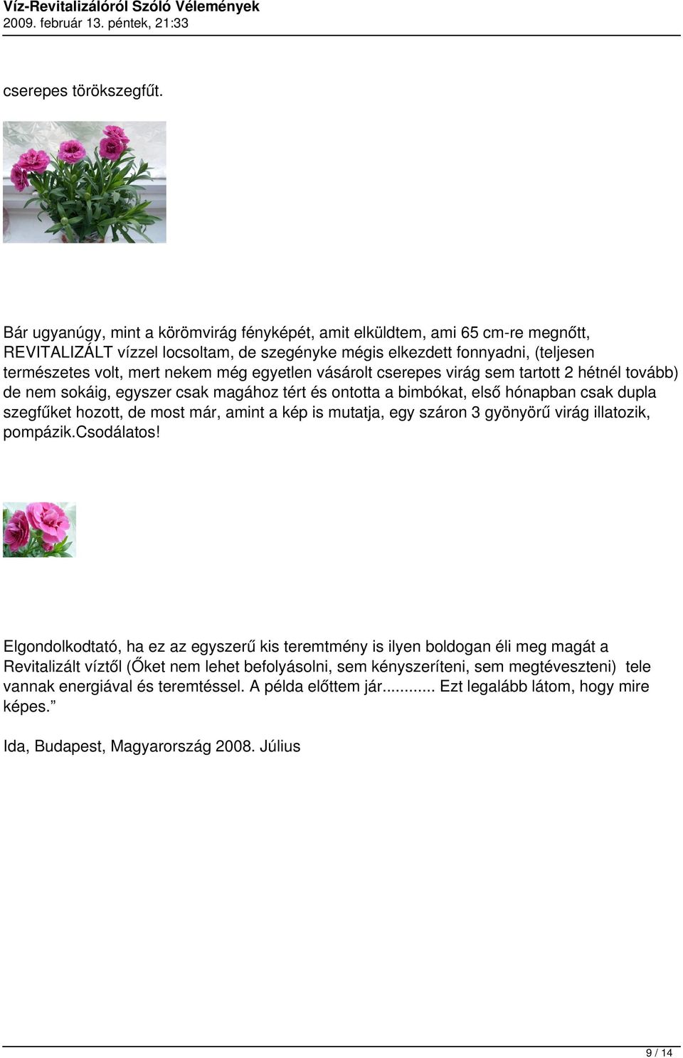 sem trtott 2 hétnél tovább) áig, szer csk mgához tért ontott bimbókt, ső hónpbn csk dupl szegfűket hozott,, kép muttj, száron 3 gyönyörű virág illtozik,