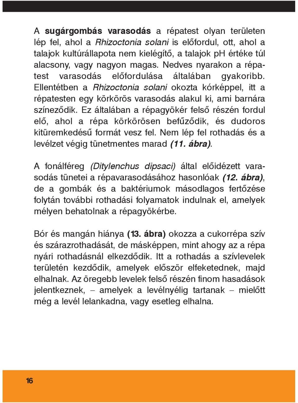 Ellentétben a Rhizoctonia solani okozta kórképpel, itt a répatesten egy körkörös varasodás alakul ki, ami barnára színezôdik.