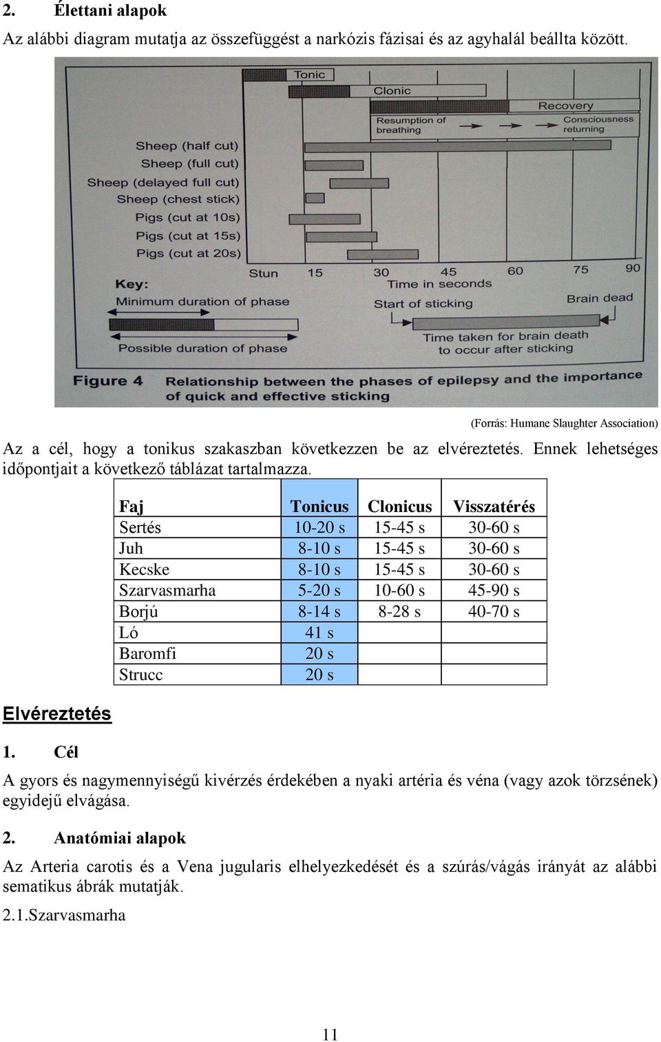 Cél Faj Tonicus Clonicus Visszatérés Sertés 10-20 s 15-45 s 30-60 s Juh 8-10 s 15-45 s 30-60 s Kecske 8-10 s 15-45 s 30-60 s Szarvasmarha 5-20 s 10-60 s 45-90 s Borjú 8-14 s 8-28 s 40-70 s Ló 41 s