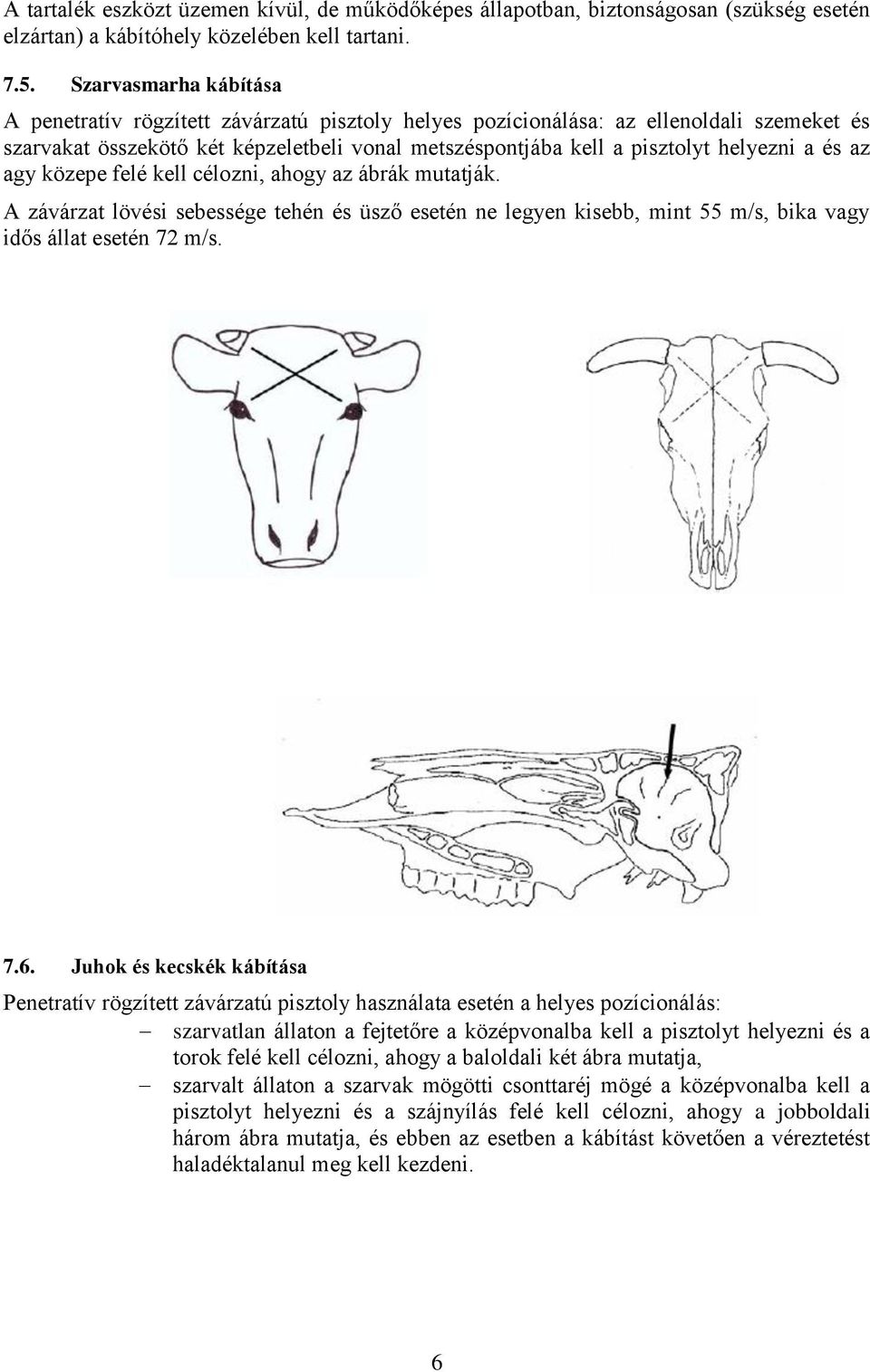 és az agy közepe felé kell célozni, ahogy az ábrák mutatják. A závárzat lövési sebessége tehén és üsző esetén ne legyen kisebb, mint 55 m/s, bika vagy idős állat esetén 72 m/s. 7.6.