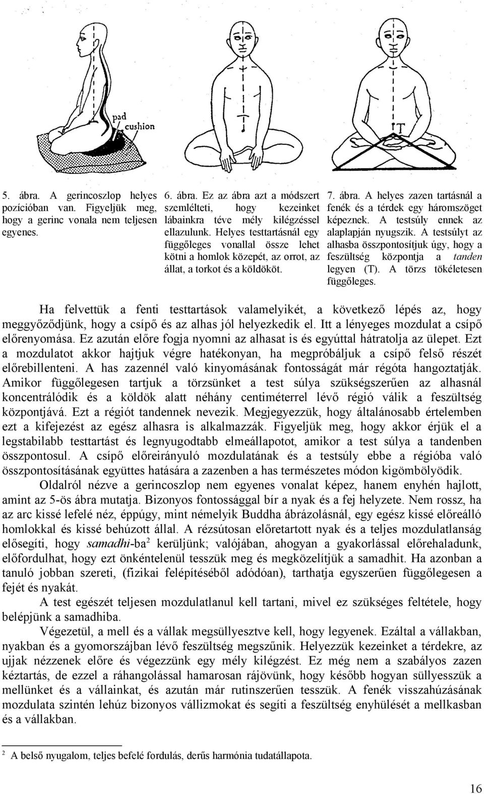 A helyes zazen tartásnál a fenék és a térdek egy háromszöget képeznek. A testsúly ennek az alaplapján nyugszik.