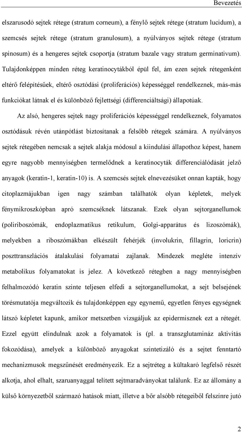 Tulajdonképpen minden réteg keratinocytákból épül fel, ám ezen sejtek rétegenként eltér felépítés ek, eltér osztódási (proliferációs) képességgel rendelkeznek, más-más funkciókat látnak el és