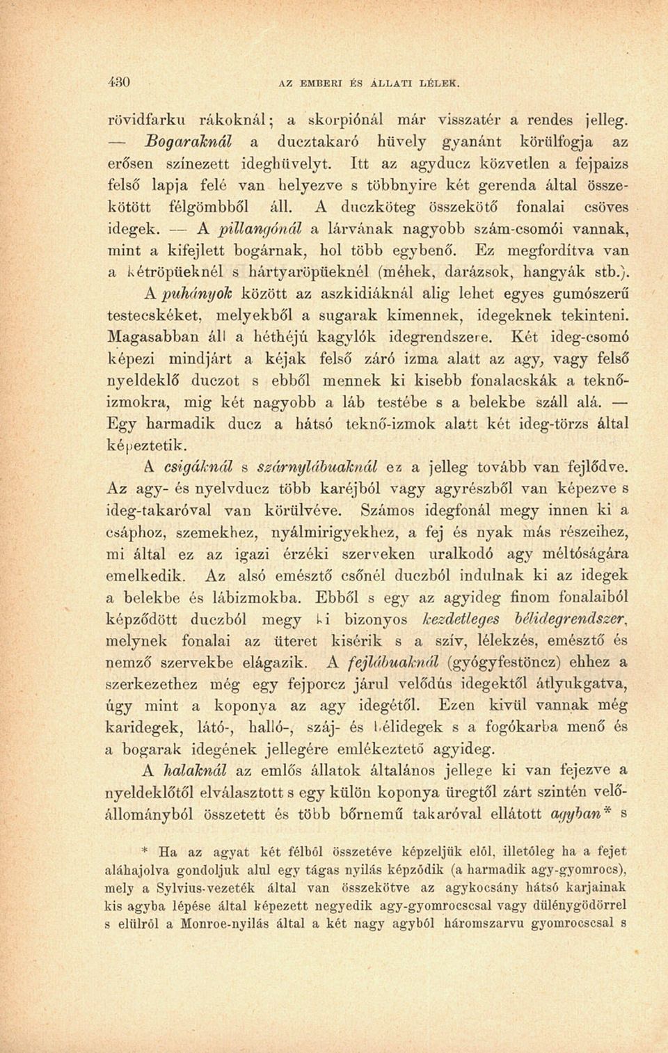 A pillangónál a lárvának nagyobb szám-csomói vannak, mint a kifejlett bogárnak, hol több egybenő. Ez megfordítva van a kétröpüeknél s hártyaröpüeknél (méhek, darázsok, hangyák sfb.).