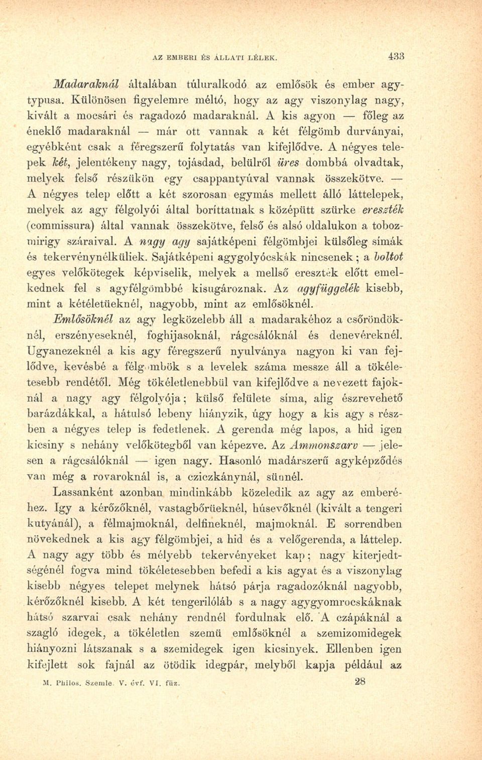 A négyes telepek hét, jelentékeny nagy, tojásdad, belülről üres dombbá olvadtak, melyek felső részükön egy csappantyúval vannak összekötve.