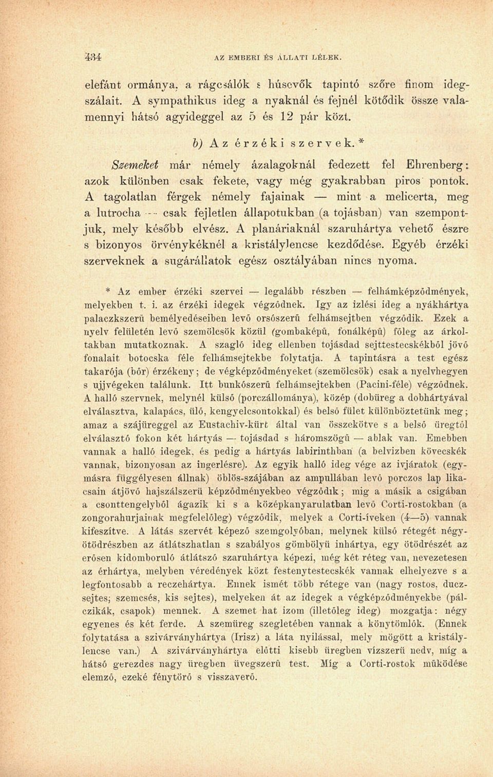 * Szemeket már némely ázalagoknál fedezett fel Ehrenberg: azok különben csak fekete, vagy még gyakrabban piros pontok.