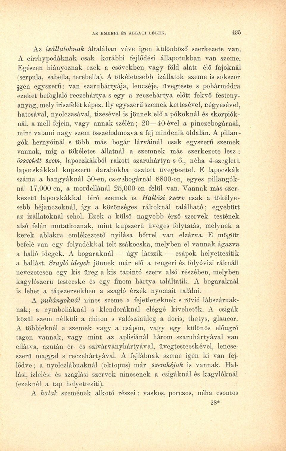 , lencséje, üvegteste s pohármódra ezeket befoglaló reczehártya s egy a reczehártya előtt fekvő festenyanyag, mely iriszfélét képez.