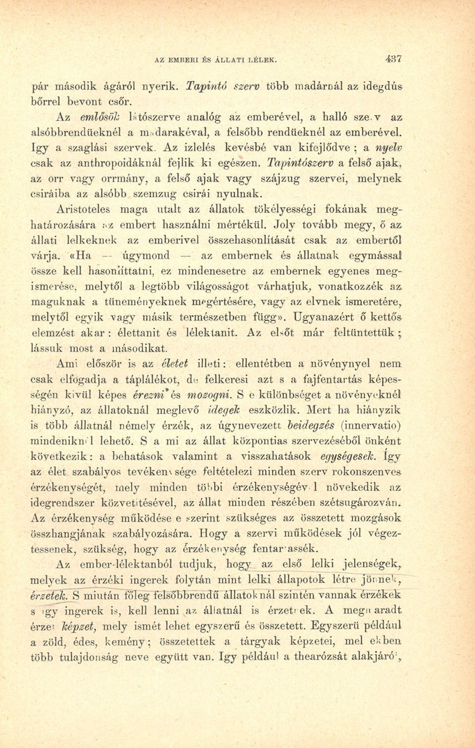 Tapintószerv a felső ajak, az orr vagy orrmány, a felső ajak vagy szájzug szervei, melynek csiráiba az alsóbb szemzug csirái nyúlnak.