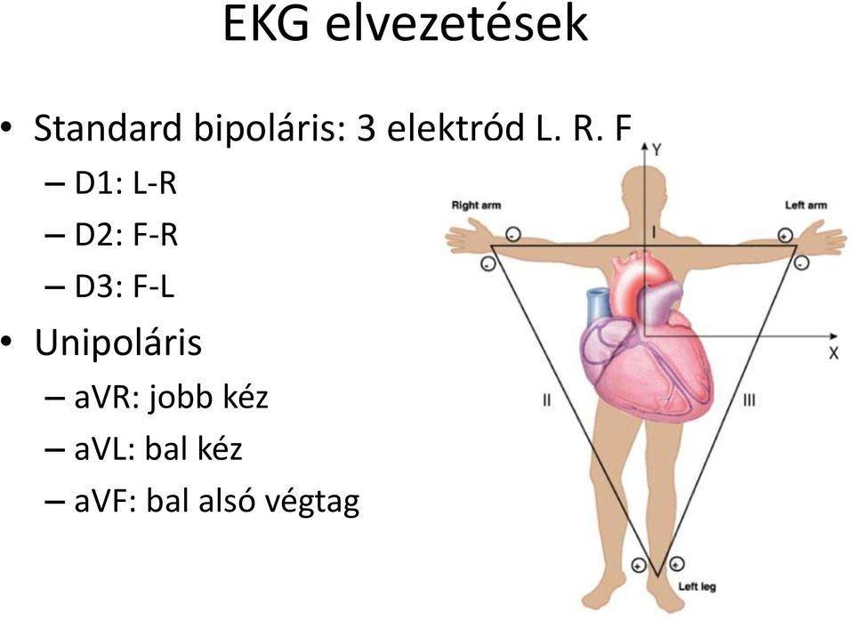 L-R D2: F-R D3: F-L Unipoláris