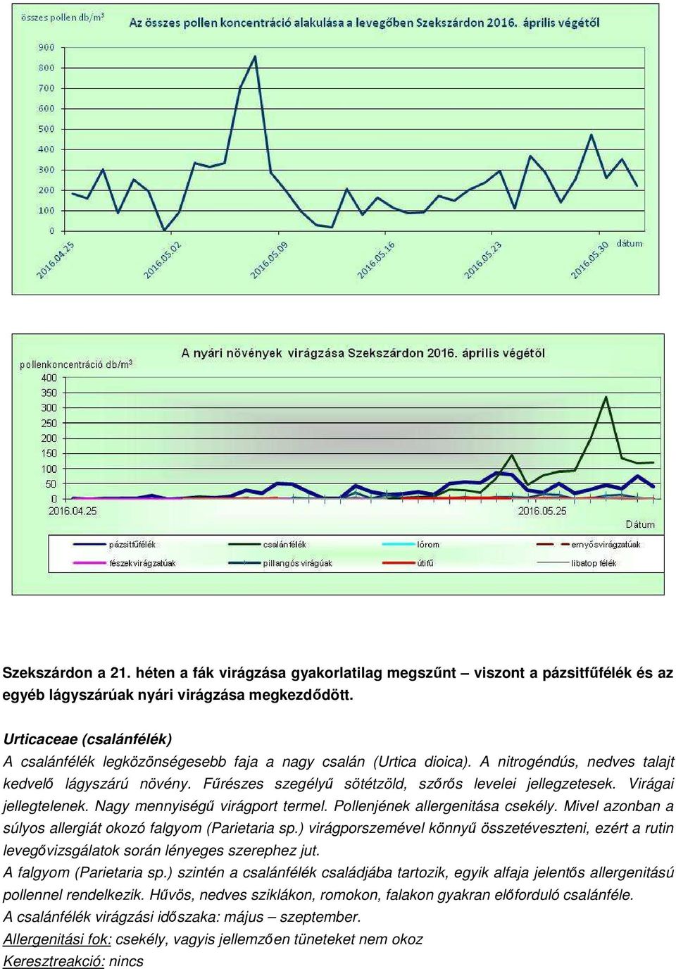 Fűrészes szegélyű sötétzöld, szőrős levelei jellegzetesek. Virágai jellegtelenek. Nagy mennyiségű virágport termel. Pollenjének allergenitása csekély.