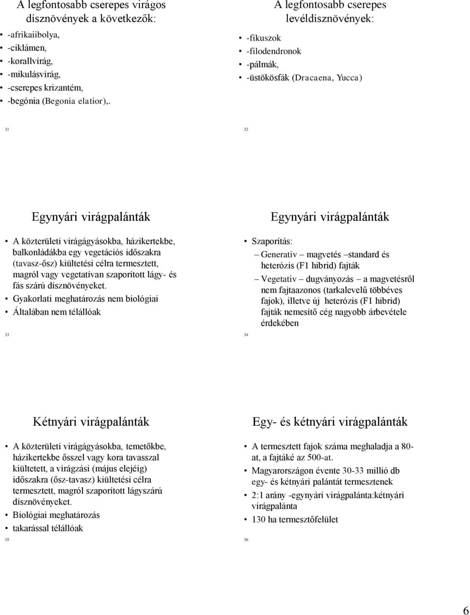 házikertekbe, balkonládákba egy vegetációs időszakra (tavasz-ősz) kiültetési célra termesztett, magról vagy vegetatívan szaporított lágy- és fás szárú dísznövényeket.