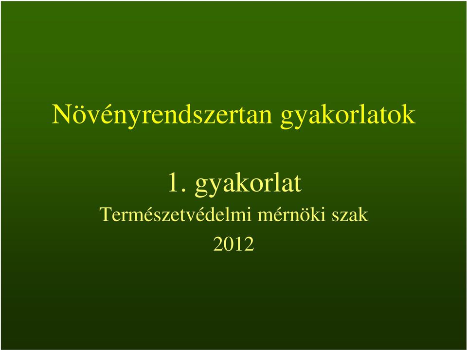 gyakorlat