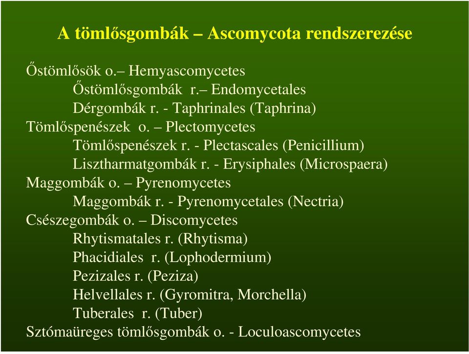 - Erysiphales (Microspaera) Maggombák o. Pyrenomycetes Maggombák r. - Pyrenomycetales (Nectria) Csészegombák o.