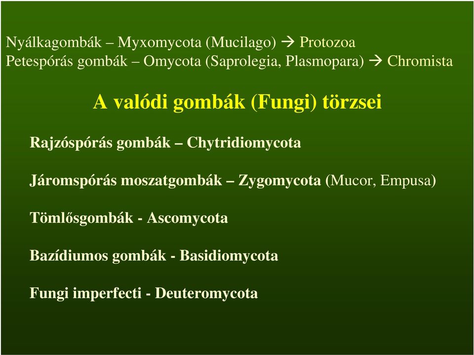 gombák Chytridiomycota Járomspórás moszatgombák Zygomycota (Mucor, Empusa)