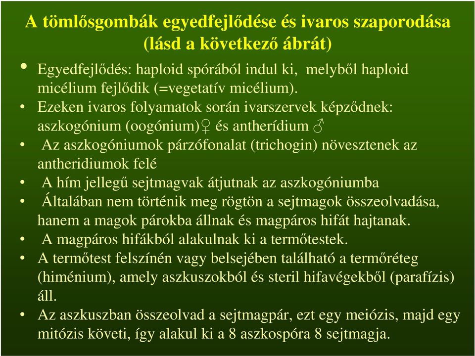 átjutnak az aszkogóniumba Általában nem történik meg rögtön a sejtmagok összeolvadása, hanem a magok párokba állnak és magpáros hifát hajtanak. A magpáros hifákból alakulnak ki a termőtestek.