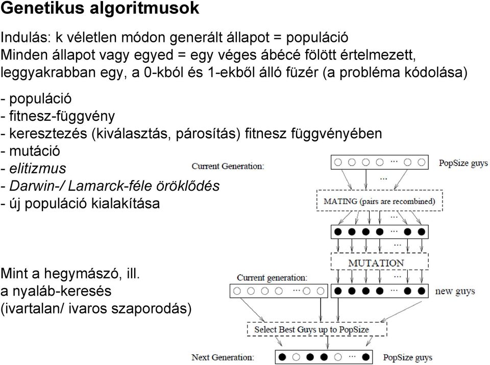 populáció - fitnesz-függvény - keresztezés (kiválasztás, párosítás) fitnesz függvényében - mutáció - elitizmus -