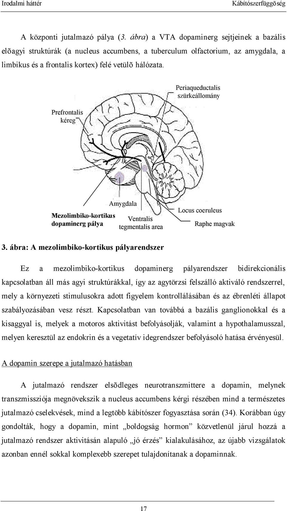 Periaqueductalis szürkeállomány Prefrontalis kéreg Amygdala Mezolimbiko-kortikus Ventralis dopaminerg pálya tegmentalis area Locus coeruleus Raphe magvak 3.