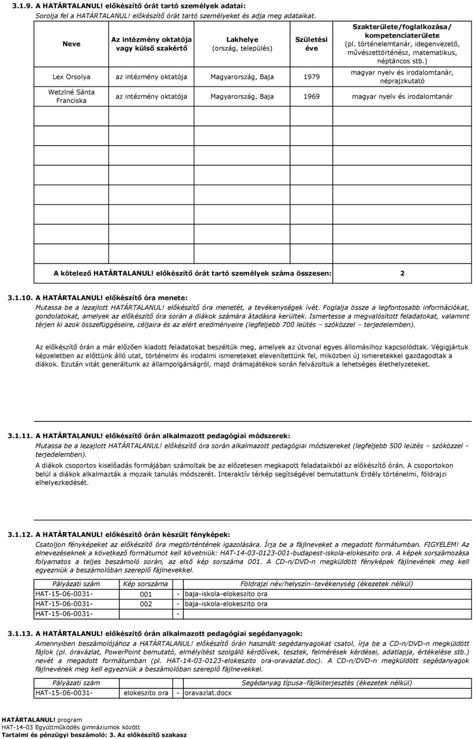 kompetenciaterülete (pl. történelemtanár, idegenvezető, művészettörténész, matematikus, néptáncos stb.