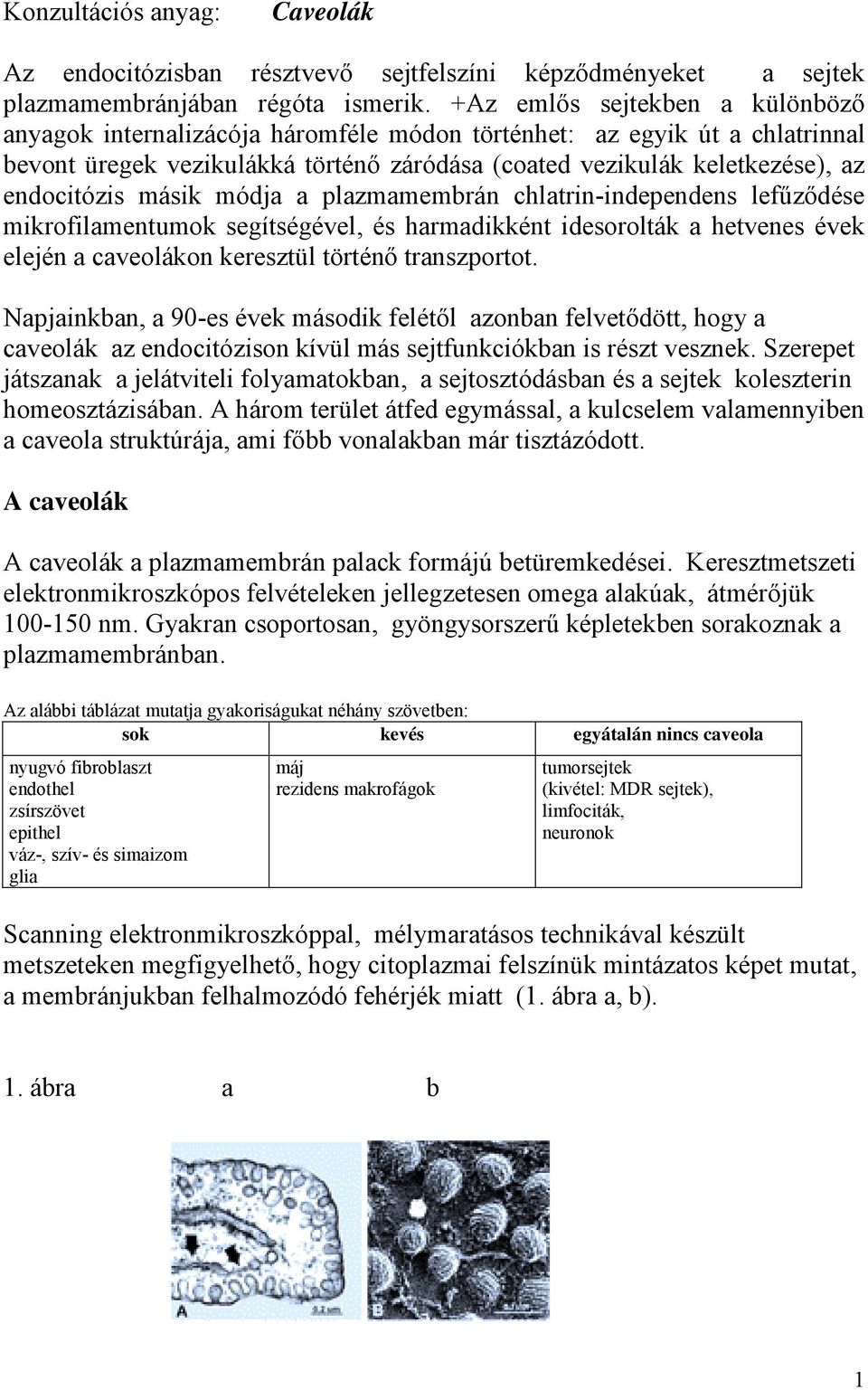 másik módja a plazmamembrán chlatrin-independens lefűződése mikrofilamentumok segítségével, és harmadikként idesorolták a hetvenes évek elején a caveolákon keresztül történő transzportot.