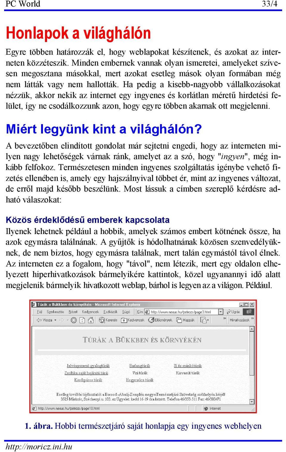 Ha pedig a kisebb-nagyobb vállalkozásokat nézzük, akkor nekik az internet egy ingyenes és korlátlan méretű hirdetési felület, így ne csodálkozzunk azon, hogy egyre többen akarnak ott megjelenni.