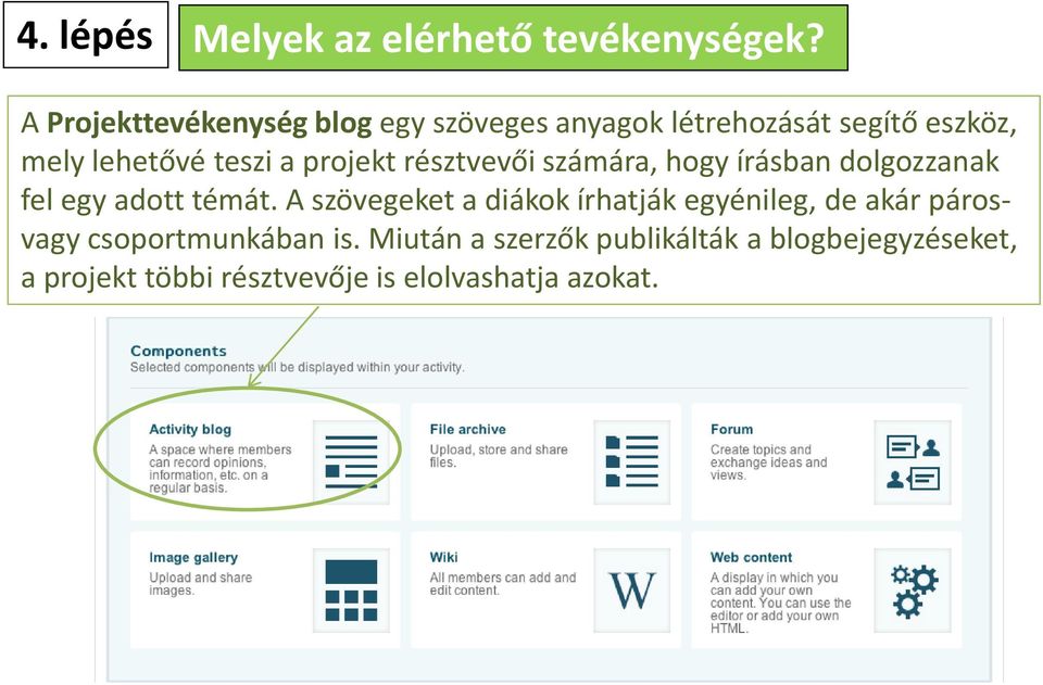 projekt résztvevői számára, hogy írásban dolgozzanak fel egy adott témát.