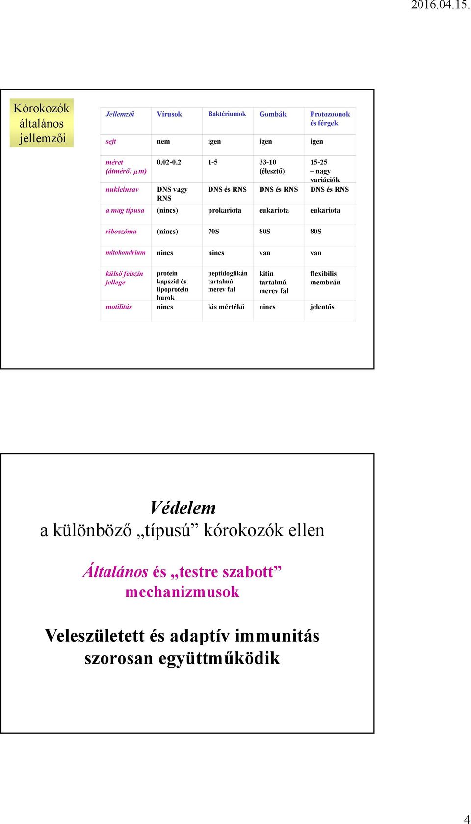 (nincs) 70S 80S 80S mitokondrium nincs nincs van van külső felszín jellege protein kapszid és lipoprotein burok peptidoglikán tartalmú merev fal kitin tartalmú merev