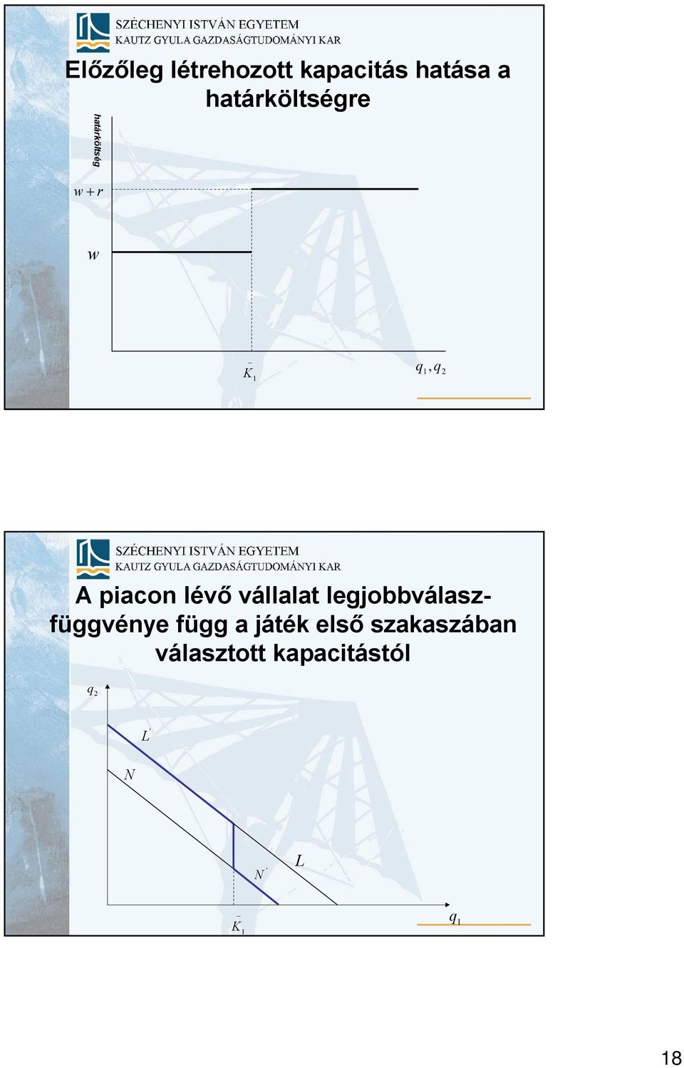 lévõ vállala legjobbválaszfüggvénye függ a