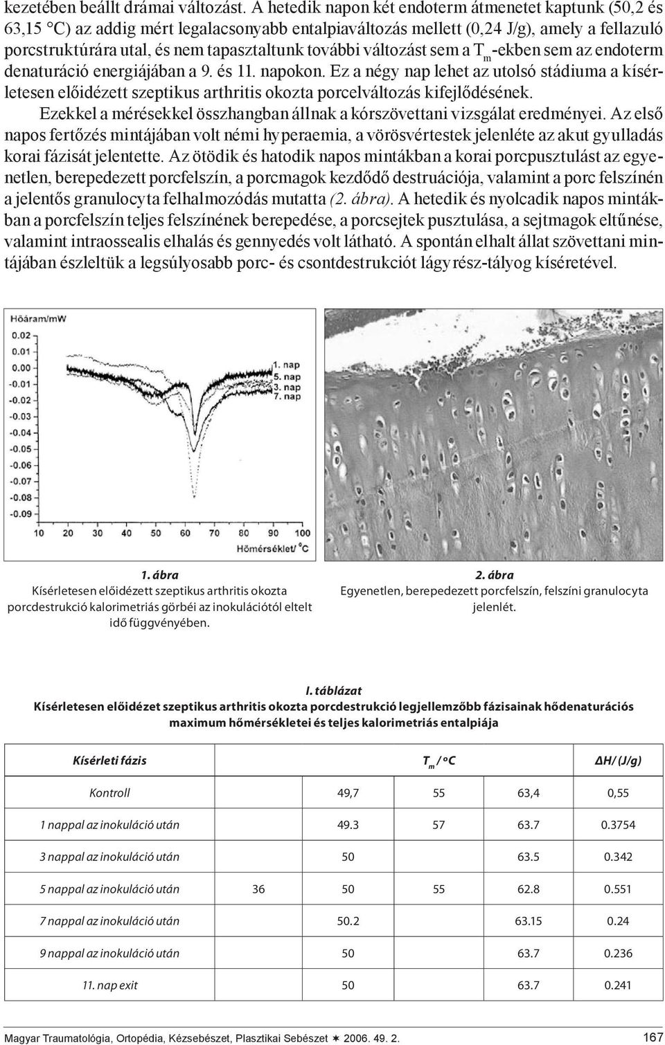 változást sem a T m -ekben sem az endoterm denaturáció energiájában a 9. és 11. napokon.