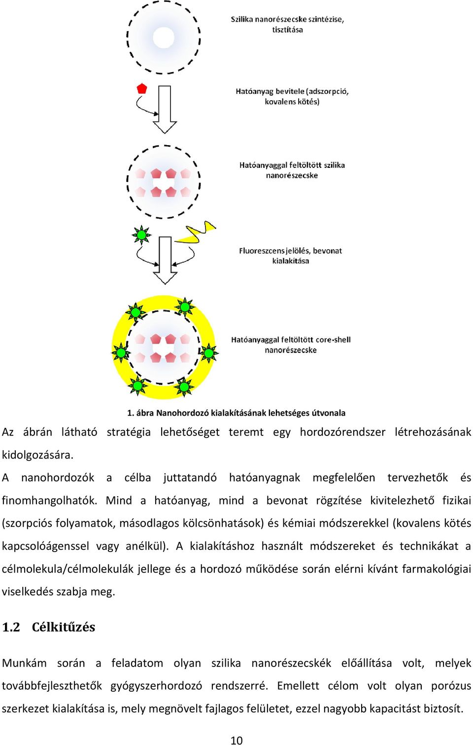 Mind a hatóanyag, mind a bevonat rögzítése kivitelezhető fizikai (szorpciós folyamatok, másodlagos kölcsönhatások) és kémiai módszerekkel (kovalens kötés kapcsolóágenssel vagy anélkül).