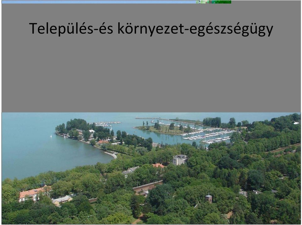 környezet