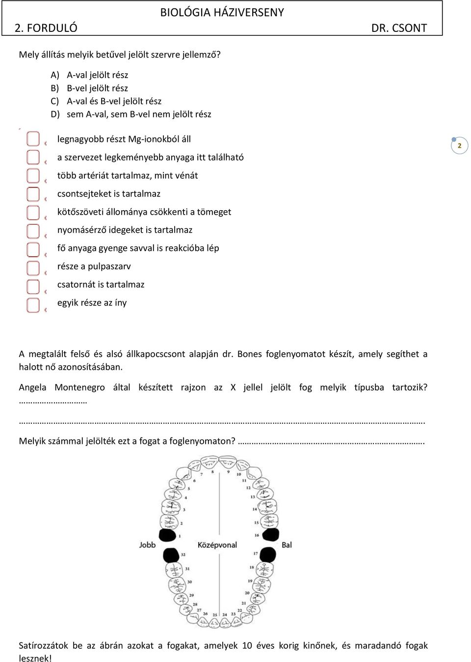 artériát tartalmaz, mint vénát csontsejteket is tartalmaz kötőszöveti állománya csökkenti a tömeget nyomásérző idegeket is tartalmaz fő anyaga gyenge savval is reakcióba lép része a pulpaszarv