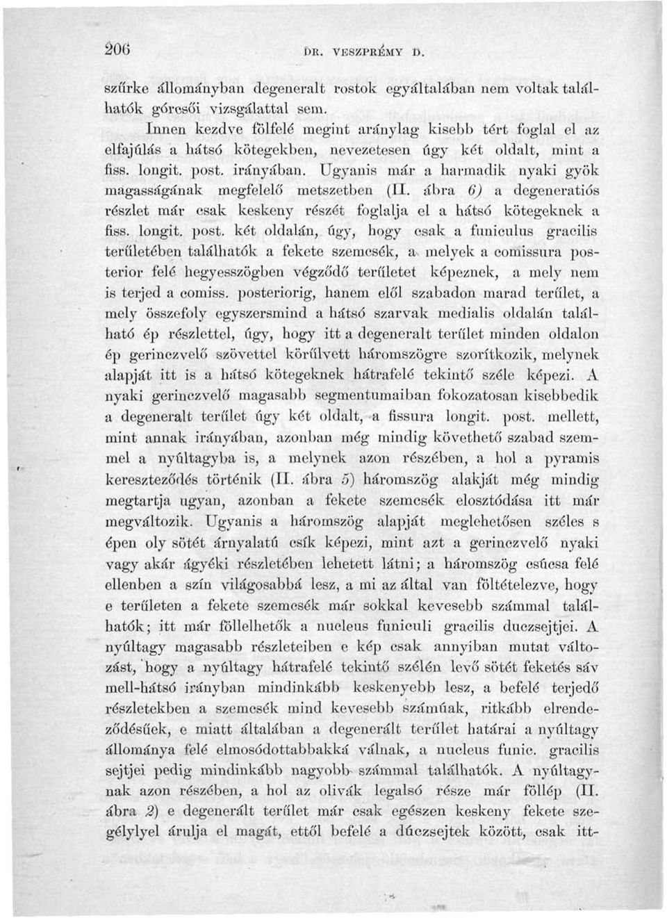 Ugyanis már a harmadik nyaki gyök magasságának megfelelő metszetben (II. ábra 6) a degeneratiós részlet már csak keskeny részét foglalja el a hátsó kötegeknek a fiss. longit. post.