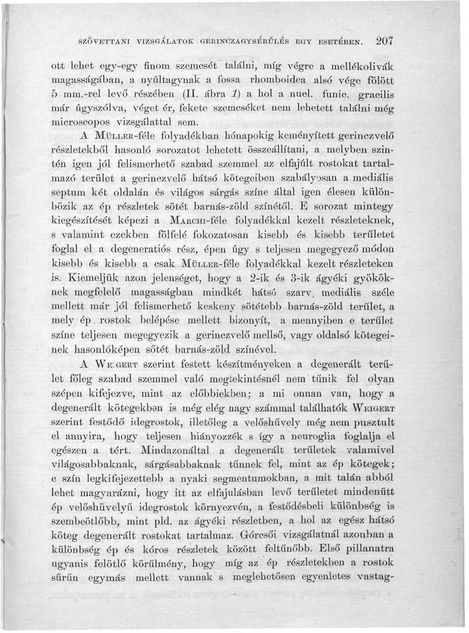 A MüLLER-féle folyadékban hónapokig keményített gerinczvelő részletekből hasonló sorozatot lehetett összeállítani, a melyben szintén igen jól felismerhető szabad szemmel az elfajult rostokat