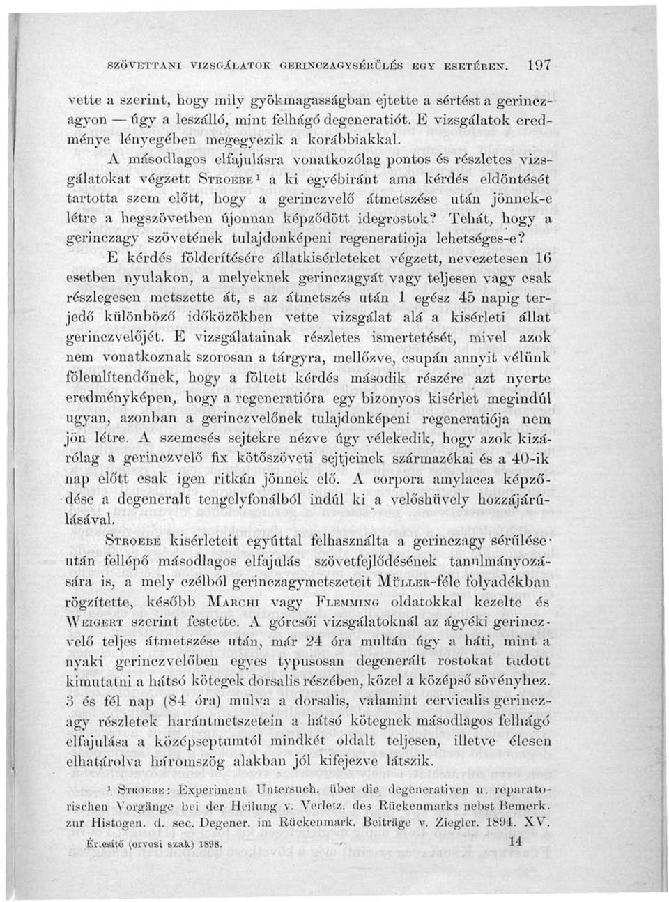 A másodlagos elfajulásra vonatkozólag pontos és részletes vizsgálatokat végzett STROEBE 1 a ki egyébiránt ama kérdés eldöntését tartotta szem eló'tt, hogy a gerinczvelő átmetszése után jönnek-e létre