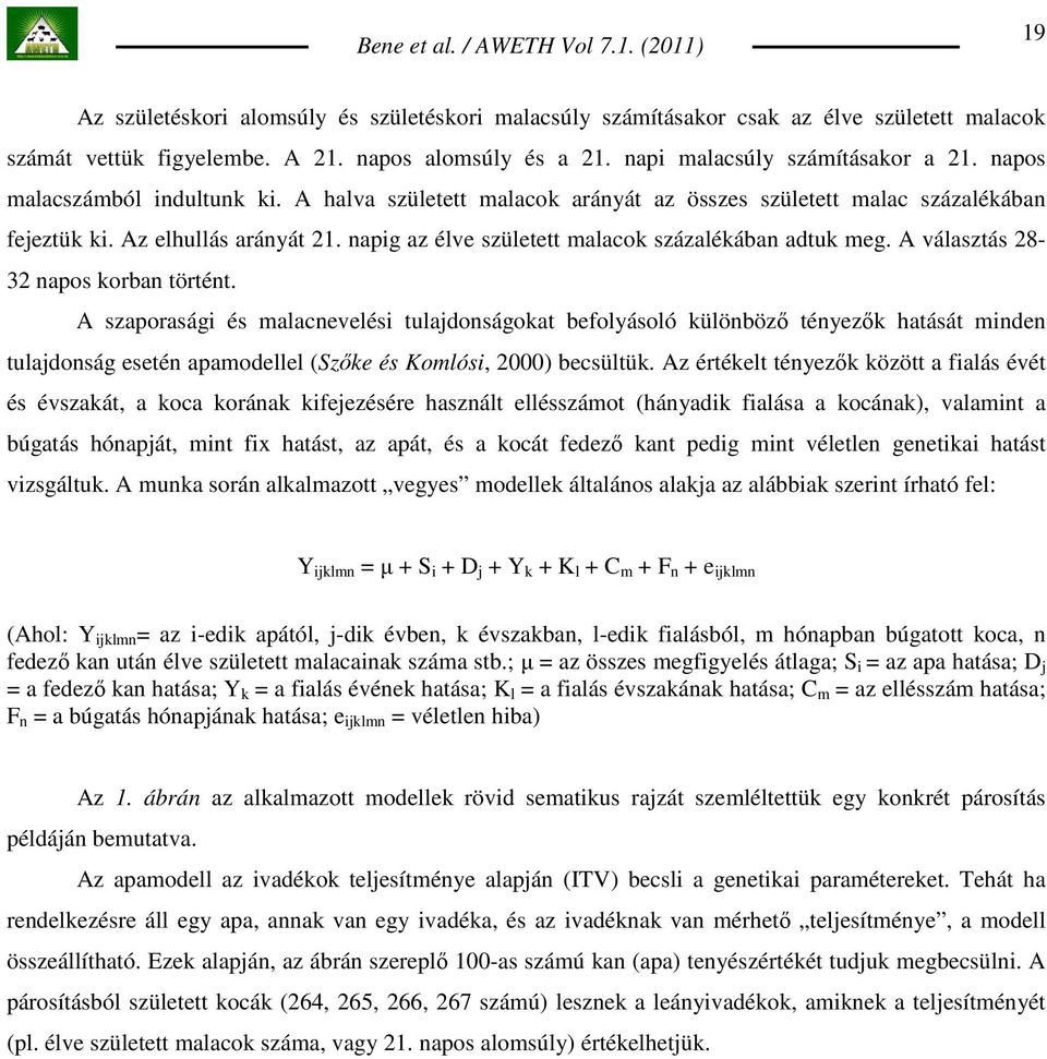 A választás 28-32 napos korban történt. A szaporasági és malacnevelési tulajdonságokat befolyásoló különbözı tényezık hatását minden tulajdonság esetén apamodellel (Szıke és Komlósi, 2000) becsültük.