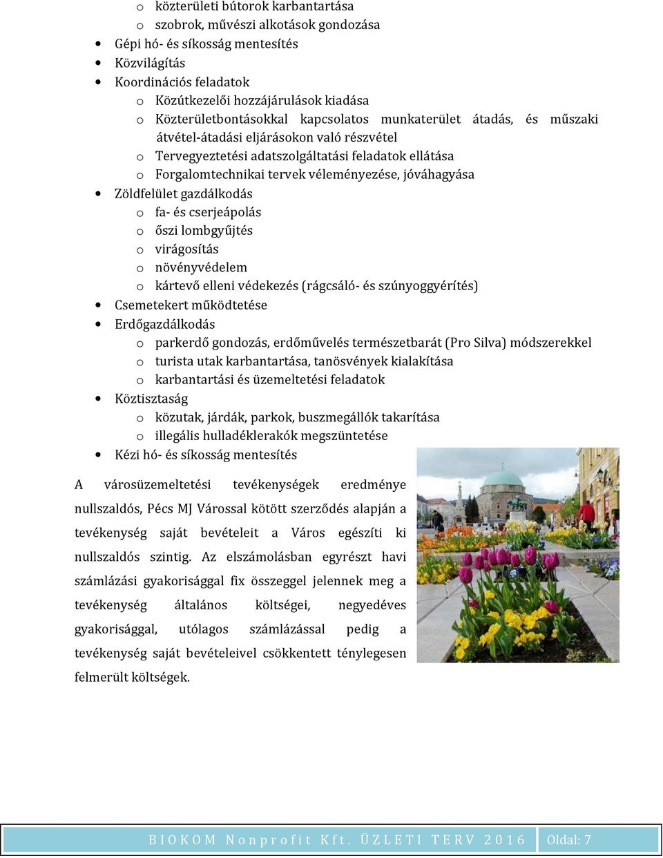 véleményezése, jóváhagyása Zöldfelület gazdálkodás o fa- és cserjeápolás o őszi lombgyűjtés o virágosítás o növényvédelem o kártevő elleni védekezés (rágcsáló- és szúnyoggyérítés) Csemetekert