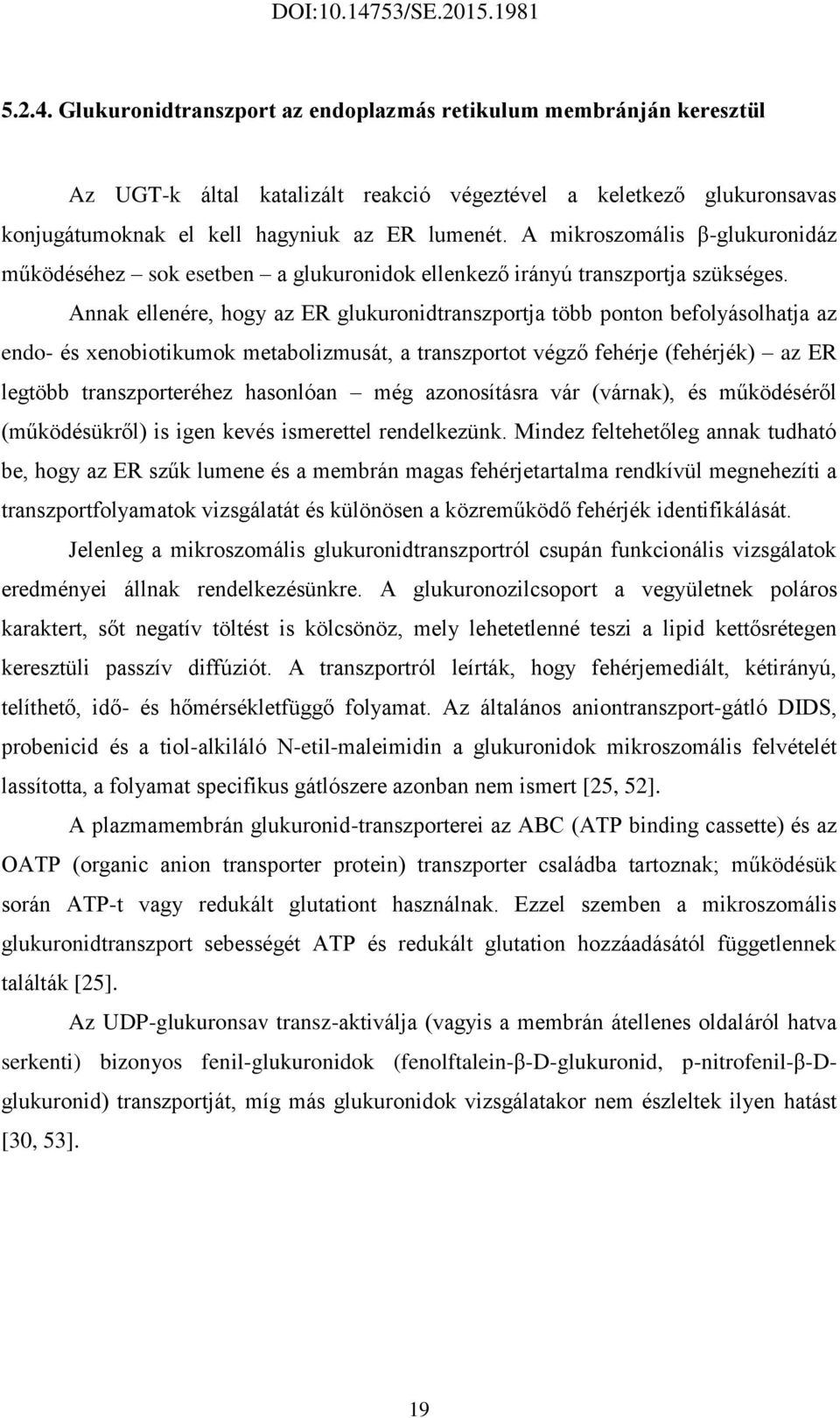 Annak ellenére, hogy az ER glukuronidtranszportja több ponton befolyásolhatja az endo- és xenobiotikumok metabolizmusát, a transzportot végző fehérje (fehérjék) az ER legtöbb transzporteréhez